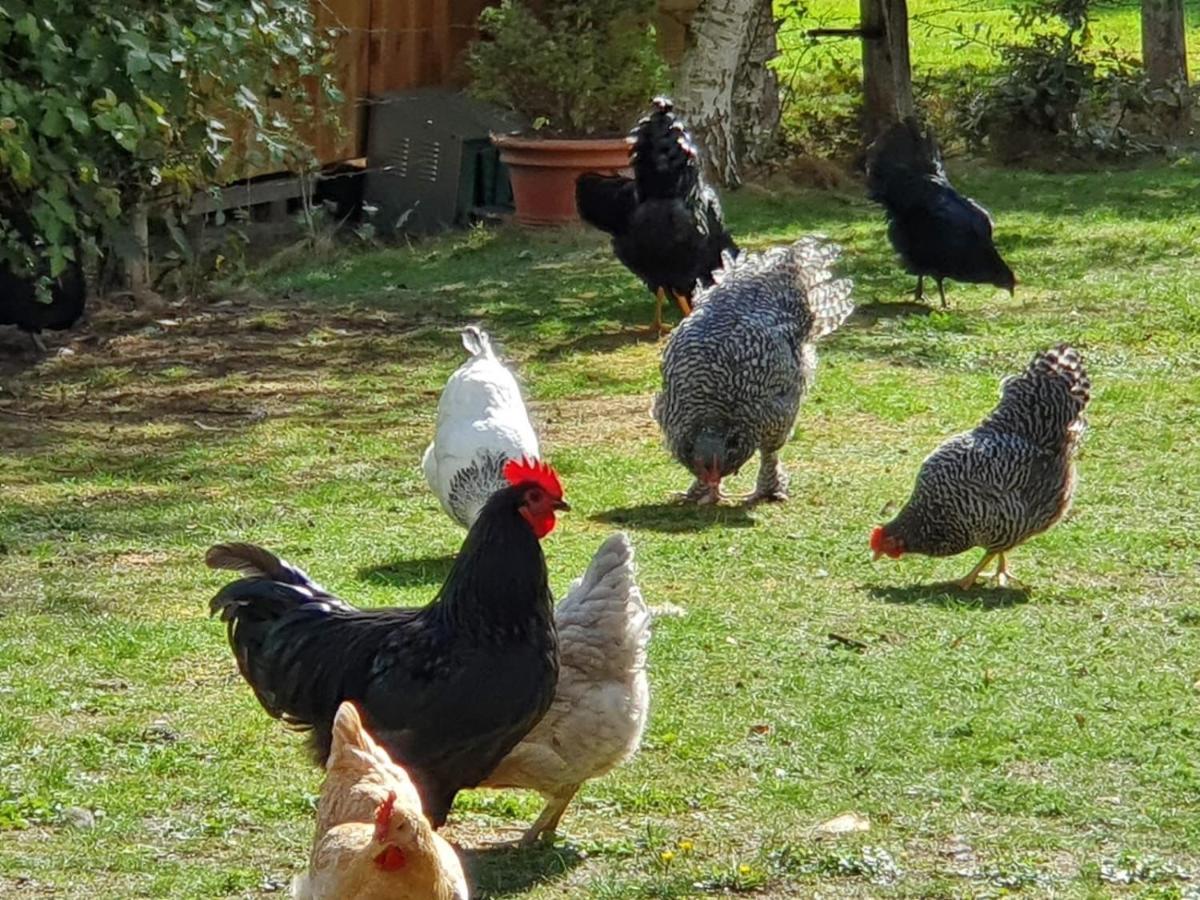 Thuers Im Busch - Gute Stube - Ab 3 Naechte - Ferienwohnungen Mit Stil In Muenster 외부 사진